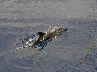 Holiday house Ajuda da Bretanha Environment 11