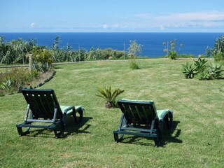 Garten von der Terrasse aus
