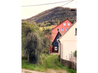 Blick zur "Lausche" (793 m)