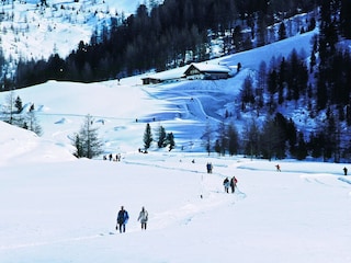 Winterwandern