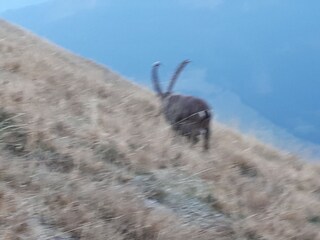 Appartamento per vacanze Au in Vorarlberg Ambiente 19