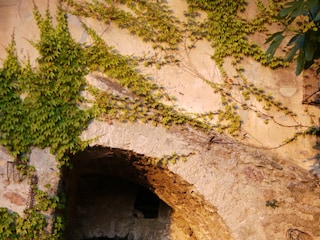 Wasserzufluss des Teichs