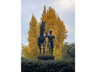 Ferienwohnung Bremen Umgebung 10