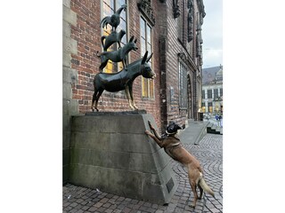 Ferienwohnung Bremen Umgebung 11