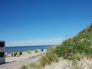 Holiday house Wyk auf Föhr  5