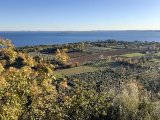View from "La Rocca"