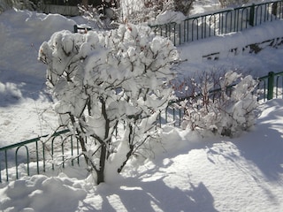 Neuschnee