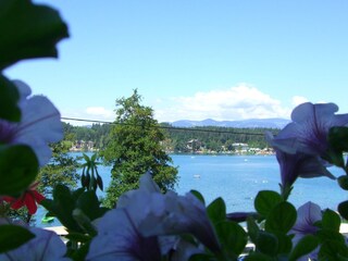 Vakantieappartement St. Kanzian Omgeving 3