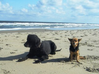 Appartamento per vacanze Den Haag Ambiente 11