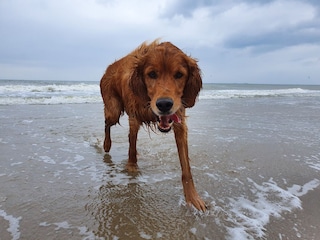 Ferienwohnung Den Haag Umgebung 25