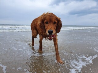 Vakantieappartement Den Haag Omgeving 25