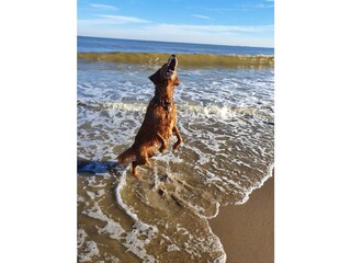 Vakantieappartement Den Haag Omgeving 26