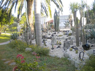 Cactus Garten