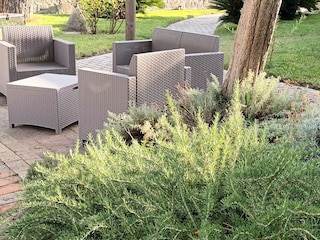 Appartamento per vacanze Forio d'Ischia Registrazione all'aperto 6