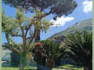 Vakantieappartement Forio d'Ischia Buitenaudio-opname 11