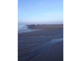 Wattenmeer Ording