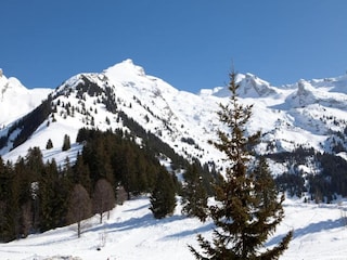 Ferienpark La Clusaz Umgebung 23