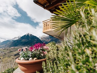Traumhafter Blick auf die Südtiroler Berge