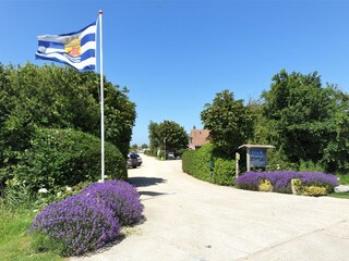 Holiday house Domburg Environment 12