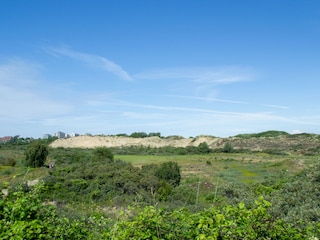 Dünenlandschaft