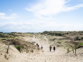 Dünenlandschaft