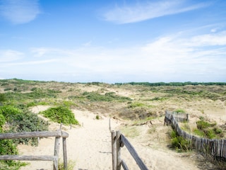 Dünenlandschaft