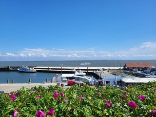 Hafen