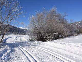 Appartamento per vacanze Sankt Michael im Lungau Registrazione all'aperto 4