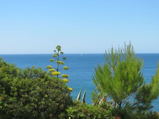 Appartamento per vacanze Carvoeiro Ambiente 35