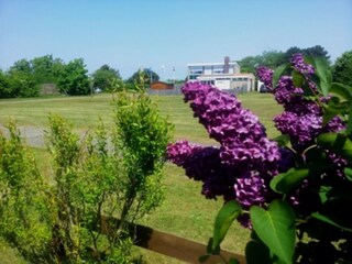 Appartamento per vacanze Callantsoog Ambiente 9