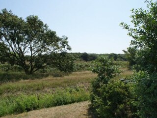 Appartamento per vacanze Callantsoog Ambiente 15