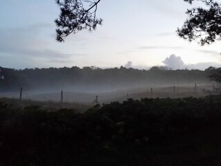 Appartamento per vacanze Callantsoog Pianta del piano 22