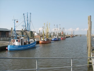 Kutterhafen