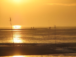 Wattwandern bei Sonnenuntergang