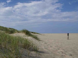 Bungalow De Cocksdorp Ambiente 18