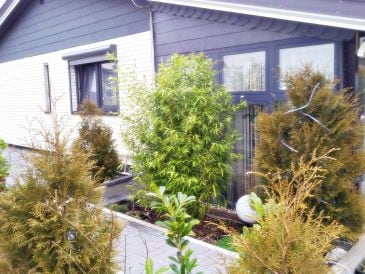 Ferienhaus Buga Frie Willi