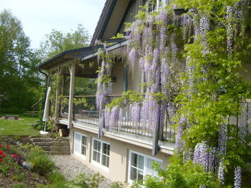 Ferienwohnung Lilian