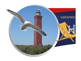 Appartamento per vacanze Ouddorp Documento 39