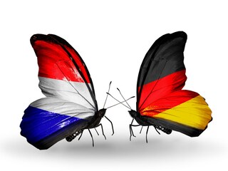 Appartamento per vacanze Ouddorp Documento 40