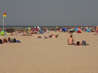 Strand und Meer in Ouddorp