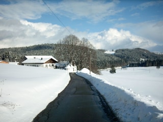 schöner Winter