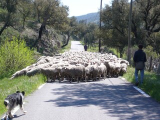 Casa per le vacanze Le Thoronet Ambiente 17