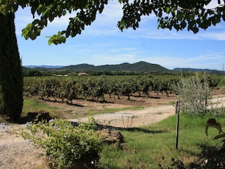 Casa per le vacanze Le Thoronet Ambiente 18