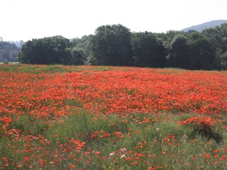 Casa per le vacanze Le Thoronet Ambiente 20