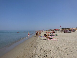 Holiday apartment Tirrenia Environment 18