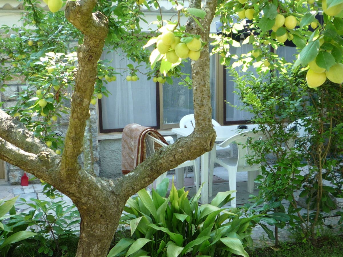 Sitzplatz unter dem Obstbaum