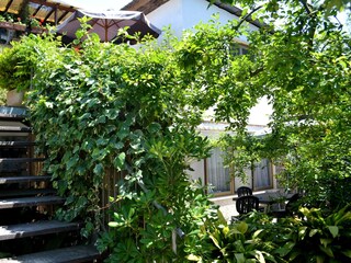 Appartamento per vacanze Tirrenia Registrazione all'aperto 6