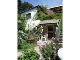 Holiday apartment Tirrenia Outdoor Recording 5