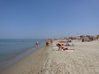 Holiday apartment Tirrenia Environment 15