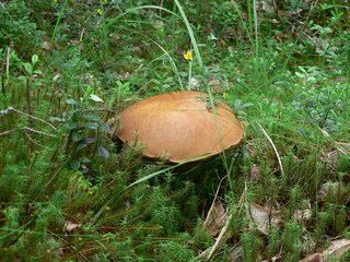 Casa per le vacanze Lur Ambiente 20